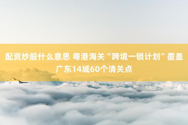 配资炒股什么意思 粤港海关“跨境一锁计划”覆盖广东14城60个清关点